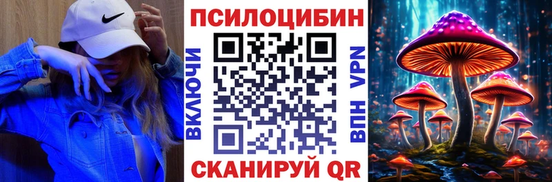купить закладку  Староминская  Псилоцибиновые грибы Magic Shrooms 
